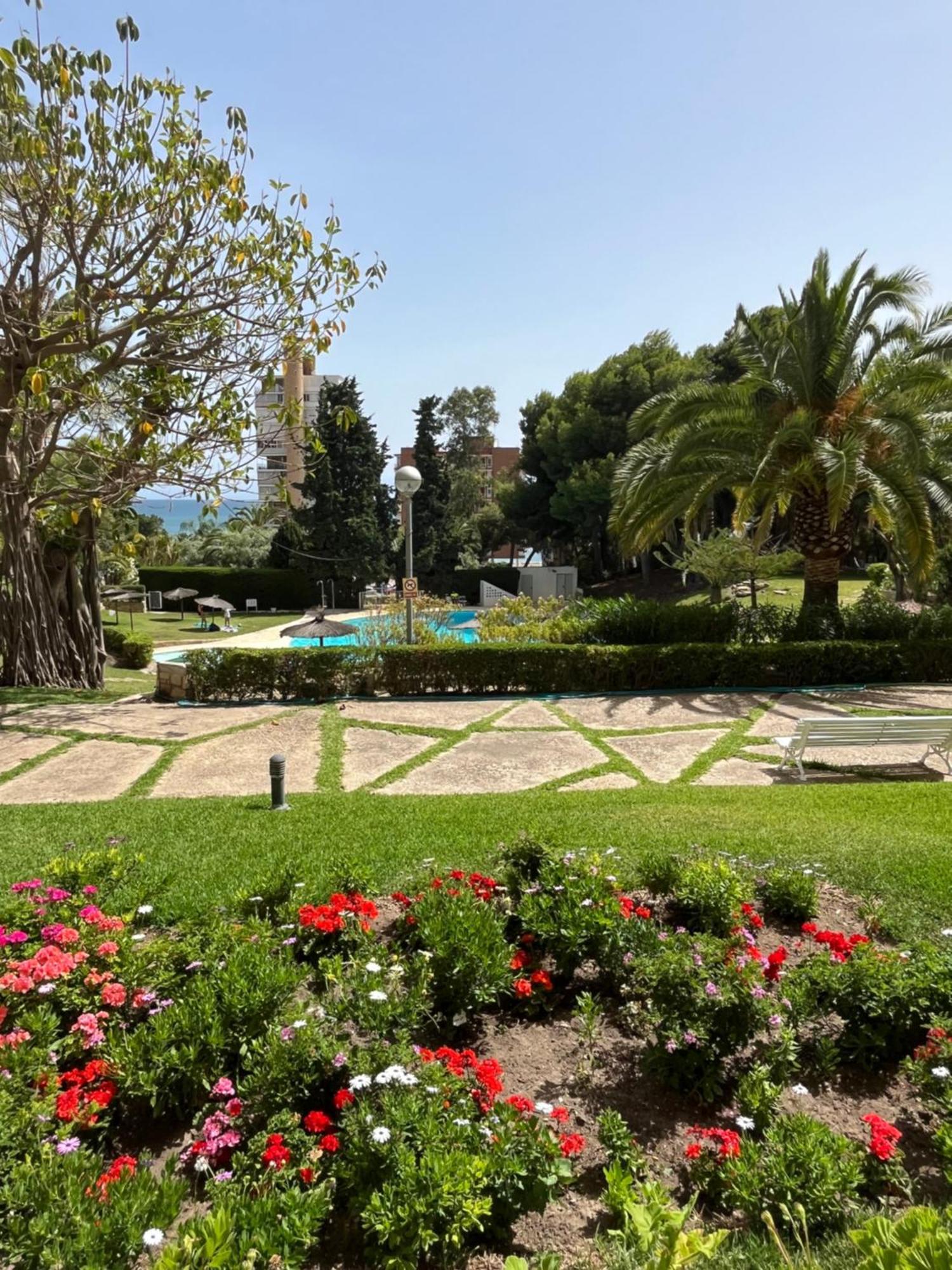 Parque La Chicharra Near Alicante And Beach Exterior photo