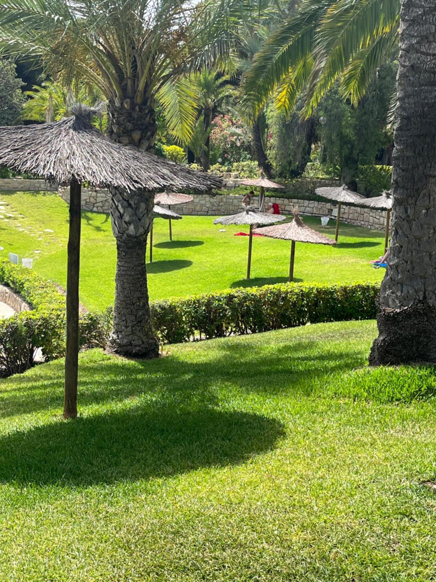Parque La Chicharra Near Alicante And Beach Exterior photo